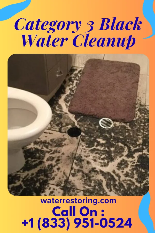 Category 3 Black Water Cleanup in Packanack Lake, NJ