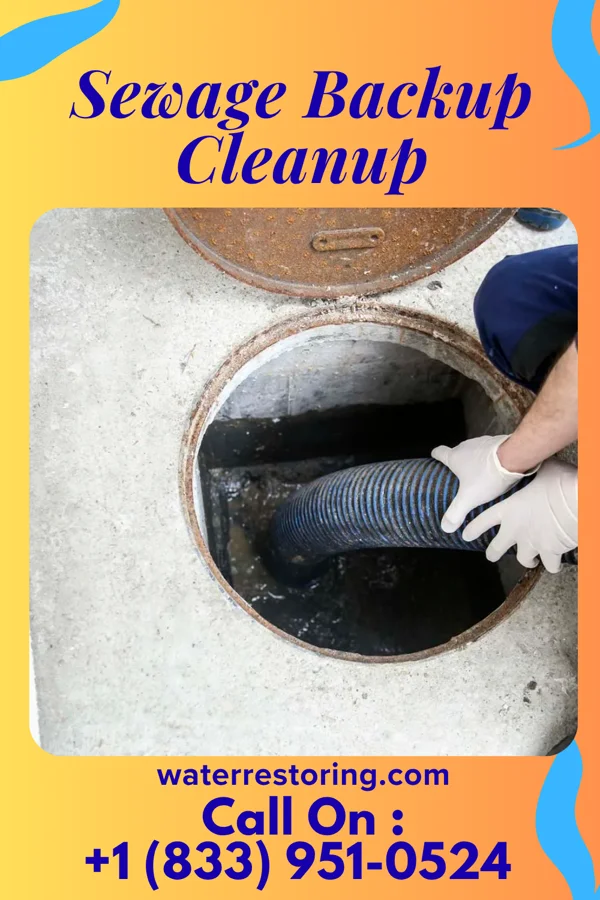 Sewage Backup Cleanup in Packanack Lake, NJ
