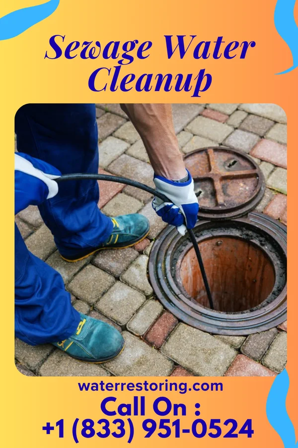Sewage Water Cleanup in Packanack Lake, NJ